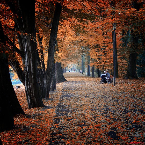 красивая осень фото