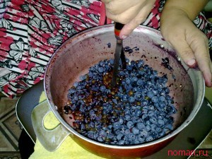 Домашнее виноградное вино